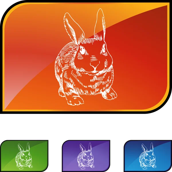 Rabbit web button — Stock Vector