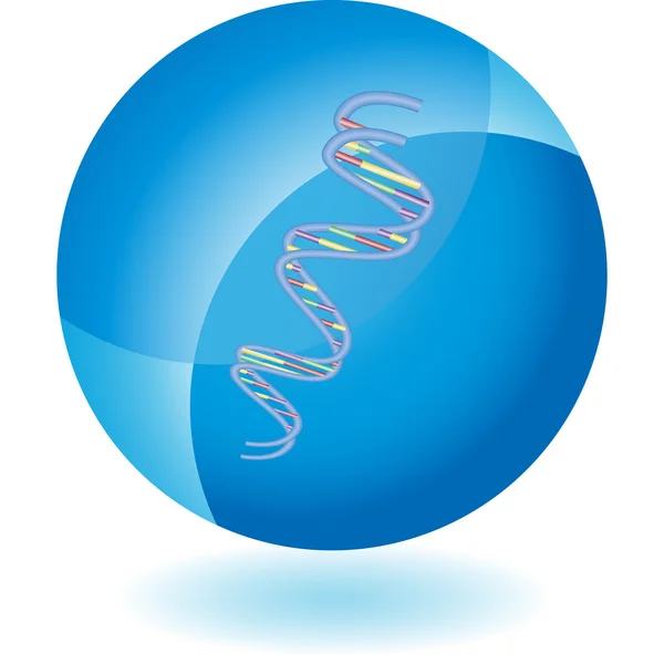 Icona web del DNA Strand — Vettoriale Stock