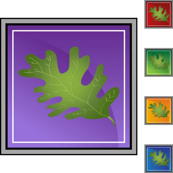 Oak Leaf  web button — Stock Vector