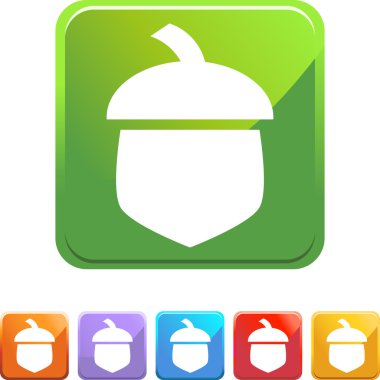 Meşe palamudu web düğmesi