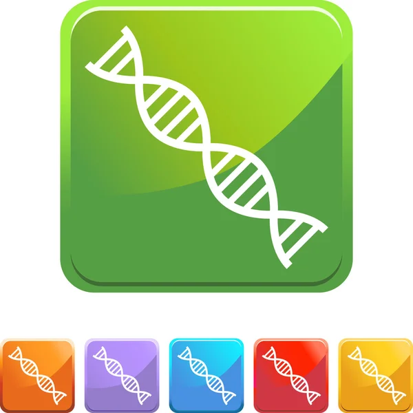 Icône web DNA Strand — Image vectorielle