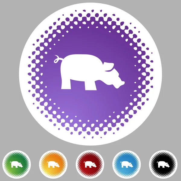 Icon-Set für Schweine — Stockvektor