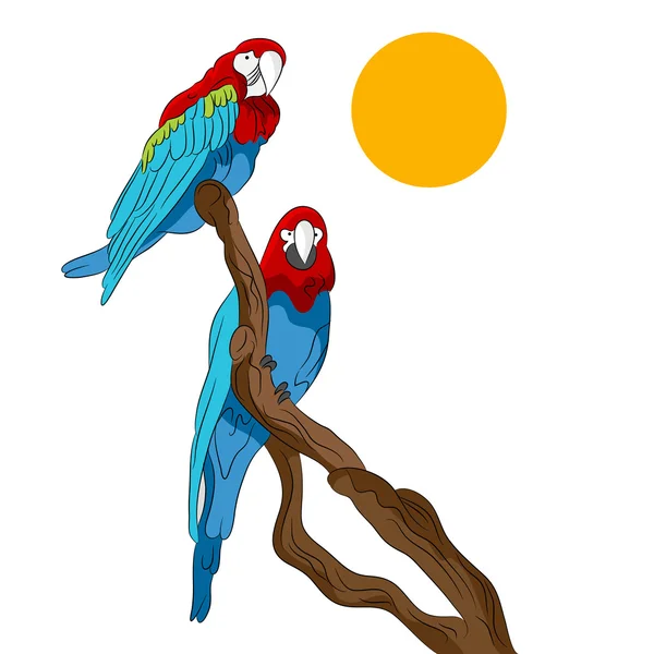 Parrots Sitting In Tree — Stock Vector