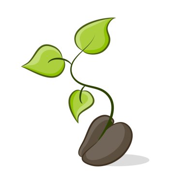 New Plant Growth clipart