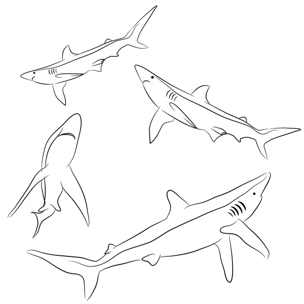 Set of Sharks — Stock Vector