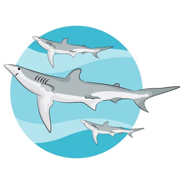 Natação tubarões fundo — Vetor de Stock
