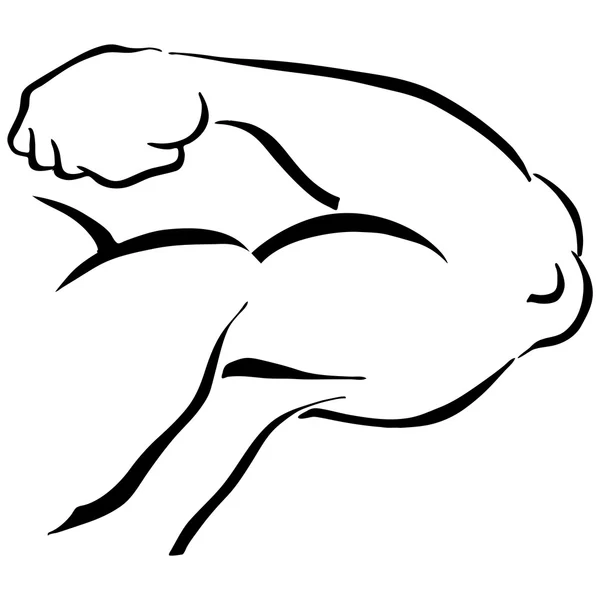 Brazo de flexión del hombre fuerte — Vector de stock