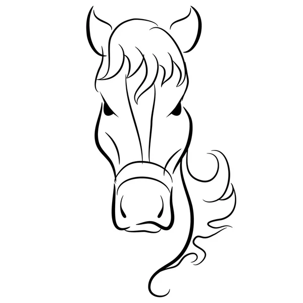 Horse Head Drawing — Stock Vector