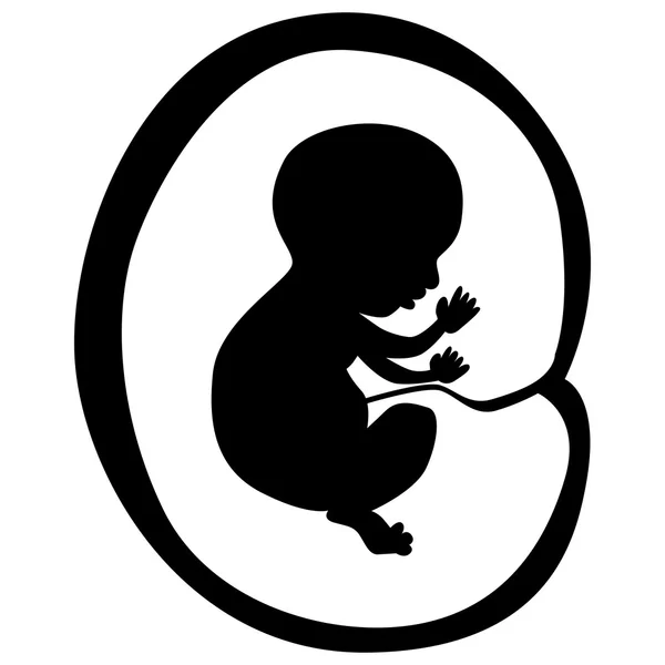 Resumen Fetus Icon — Vector de stock