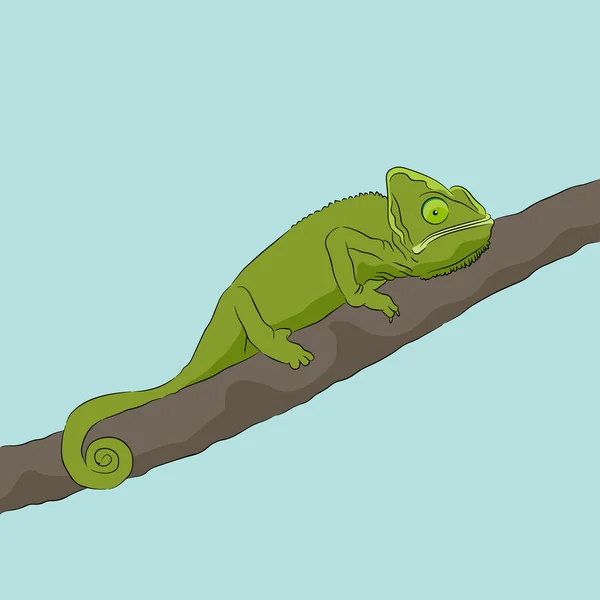 Chameleon zittend op tak — Stockvector