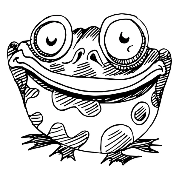 Fat Frog Drawing — Stock Vector