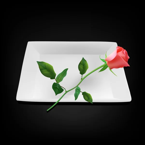 빨간 장미와 함께 빈 흰색 사각형 접시 — 스톡 벡터