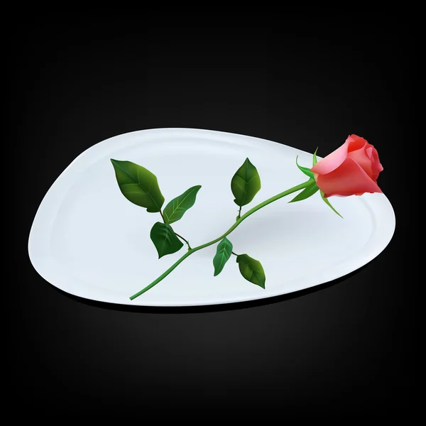 Empty white triangle plate with red rose — Stock Vector