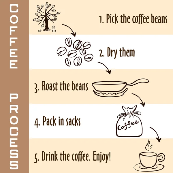 Hand drawn steps of coffee process — Stock Vector