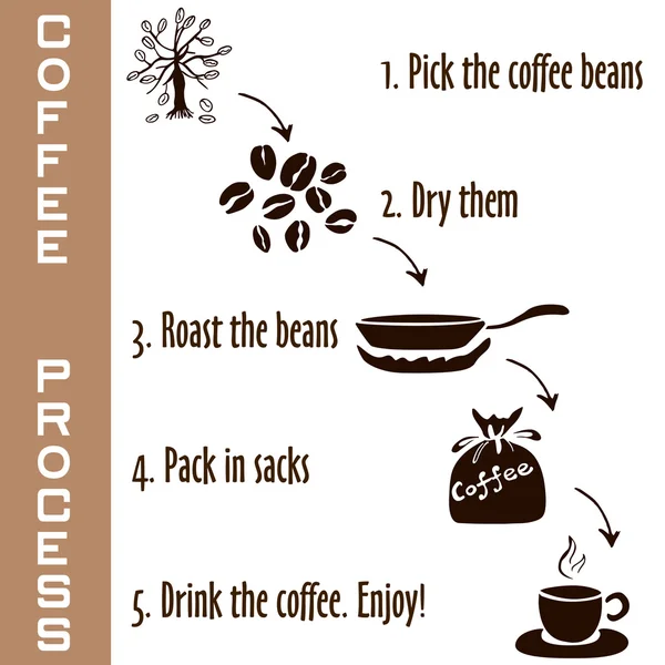 Passaggi disegnati a mano del processo di caffè nei colori marroni — Vettoriale Stock