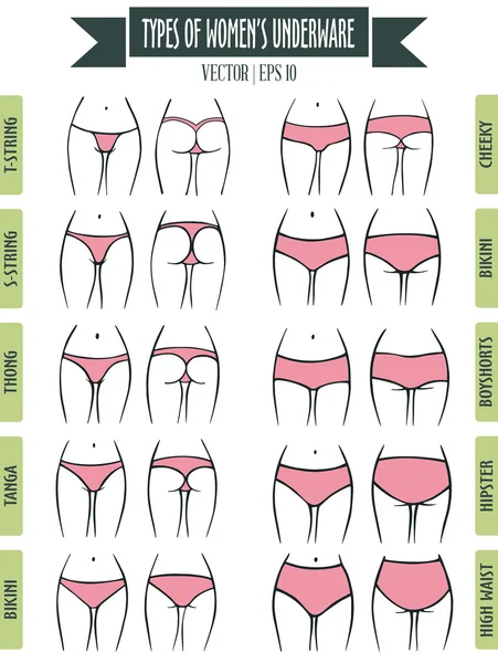 Types of panties for women plus size in sketch style Stock Vector