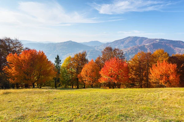 山、森、野原のある秋の田園風景。オレンジ色の葉で覆われた芝生の上に