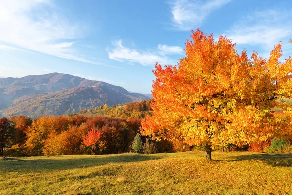 山、森、野原のある秋の田園風景。オレンジ色の葉で覆われた芝生の上に