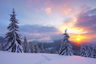 Fantastik gün doğumu dağı aydınlatıyor. Soğuk kış sabahı. Bulutlarla dolu inanılmaz bir gökyüzü. Duvar kağıdı arka planı. Konum: Carpathian, Ukrayna, Avrupa.
