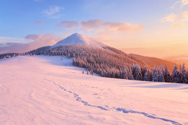 Fantastik gün doğumu dağı aydınlatıyor. Soğuk kış sabahı. Bulutlarla dolu inanılmaz bir gökyüzü. Duvar kağıdı arka planı. Konum: Carpathian, Ukrayna, Avrupa.