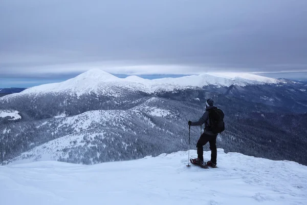 Soğuk kış sabahında manzara. Spor elbiseli mutlu turist uçurumun kenarında dikiliyor. Çimler ve ormanlar. Kar yığınlarında çam ağaçları. Karlı bir arka plan. Doğa manzarası. Konum Karpatlar, Ukrayna, Avrupa.