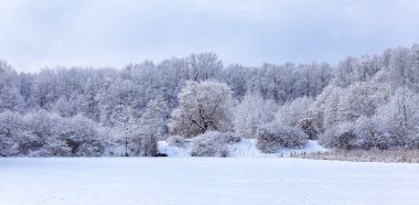 Soğuk kış günü. Orman. Karlar altında donmuş ağaçlarla kaplı panoramik bir manzara. Duvar kağıdı arka planı. Güzel gökyüzü olan doğal manzara. Alp kayak merkezi.