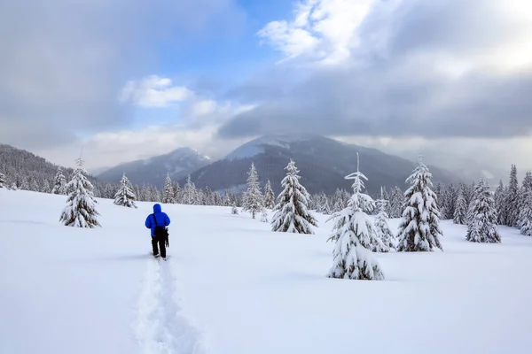 神奇的冬季森林摄影记者呆在被雪覆盖的草坪上 高山雪白的山峰 雪地里的树木 雪地的背景 自然景观 — 图库照片