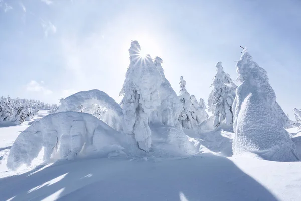 冬天的风景 雪堆中覆盖着霜冻树的草地 圣诞仙境高山 雪白的墙纸背景 自然景观 — 图库照片