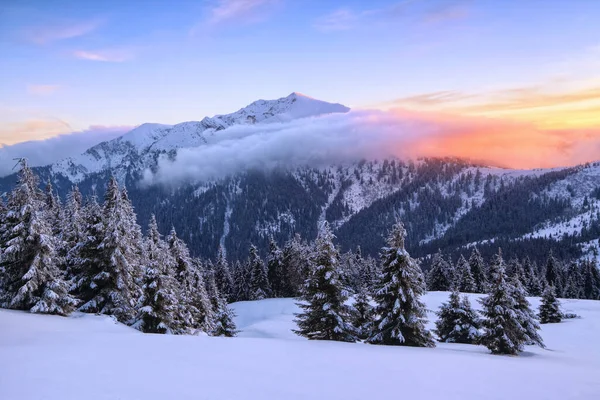 Una Vista Panorámica Invierno Increíble Amanecer Paisaje Altas Montañas Con — Foto de Stock