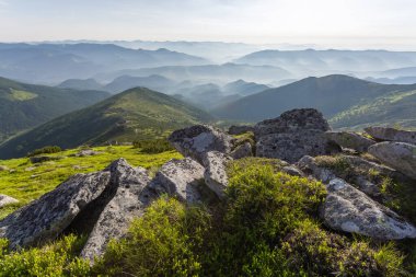 Güneşli bir gün. Yüksek dağlı manzara. Yeşil çimenli ve taşlı çimenler. Yaz günü. İnanılmaz bir yaz dönemi duvar kağıdı arka planı. Uzayı metin için kopyala. Karpatlar Parkı 'nda dinlenebileceğim bir yer..