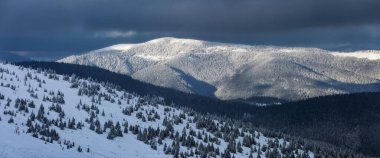 Kış panoramik. Kar beyazı zirveli yüksek dağların manzarası. Orman. Karla kaplı çimenler. Evergreen ağaçları. Noel Harikalar Diyarı. Karlı duvar kağıdı arkaplanı.