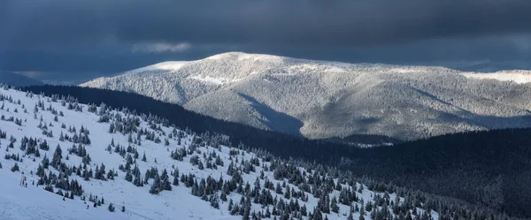 Kış panoramik. Kar beyazı zirveli yüksek dağların manzarası. Orman. Karla kaplı çimenler. Evergreen ağaçları. Noel Harikalar Diyarı. Karlı duvar kağıdı arkaplanı.