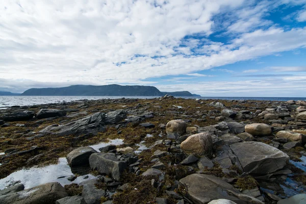 Rocky newfoundland kıyılarında — Stok fotoğraf