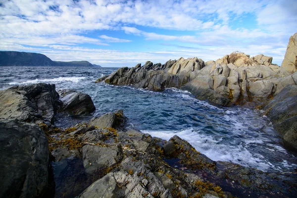 Engebeli kıyıları newfoundland, canada — Stok fotoğraf