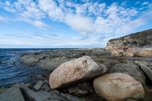 Engebeli Newfoundland kıyı şeridi — Stok fotoğraf