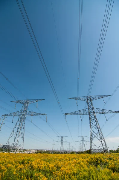 Elecrical Pylon — Stock Photo, Image