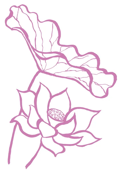 Flor de loto. ilustración dibujada a mano . — Vector de stock
