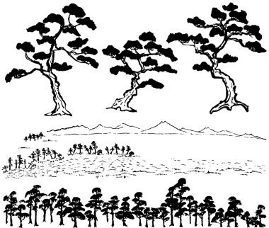 Japanese pine tree. clipart