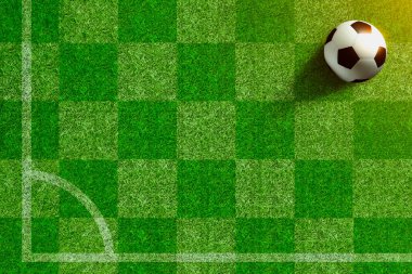 Ilık güneş ışığı altında yemyeşil bir sahanın kenarında dinlenen bir futbol topu beklenti, odaklanma ve maçın gerçekten başlamasından önceki sessiz anı simgeliyor..