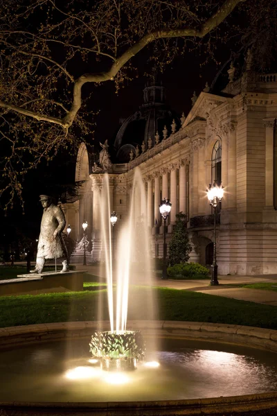 Petit Palais w Paryżu nocą. Francja. — Zdjęcie stockowe