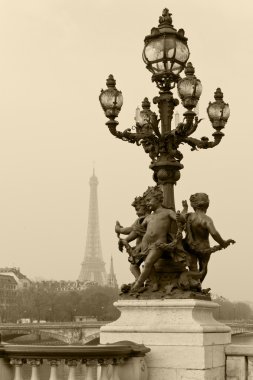 Paris, Fransa alexandre III Köprüsü'nde sokak fener.