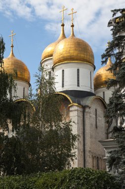 Varsayım Katedrali, Moskova Kremlin, Rusya Federasyonu.