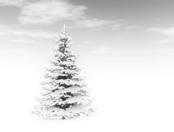 Pine tree covered in snow — Stock Photo, Image