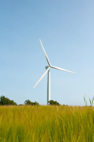 Windturbine en blauwe lucht — Stockfoto