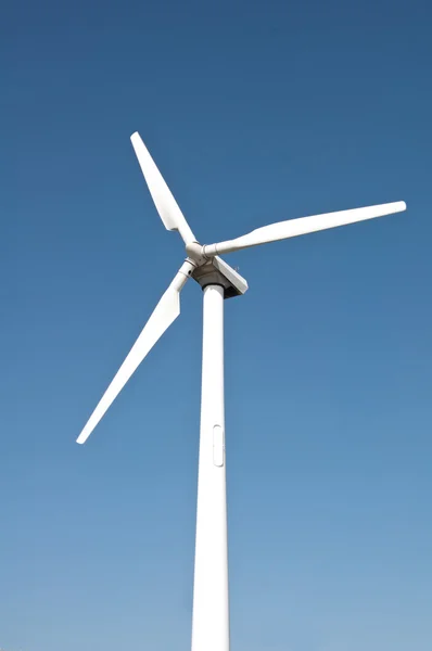 Enkele windturbine — Stockfoto