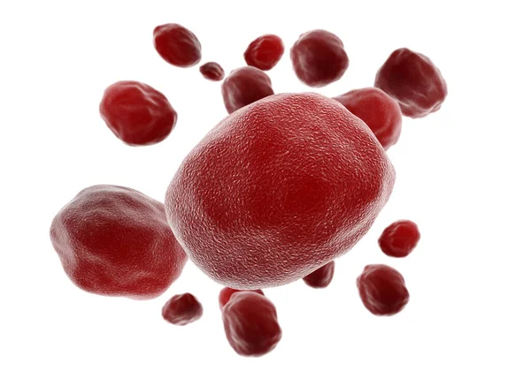 Glóbulos Vermelhos Deformam — Fotografia de Stock