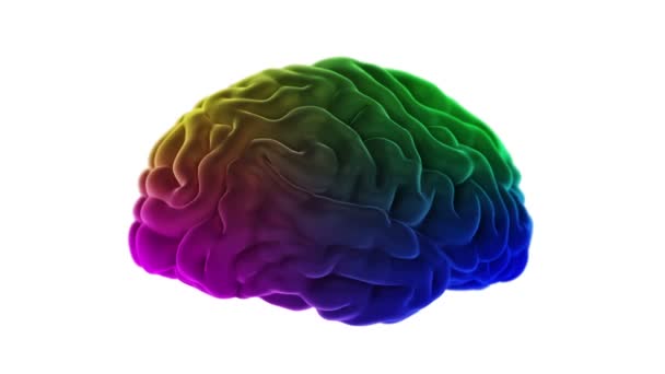Cerebro Humano Multicolor Aislado Sobre Fondo Blanco — Vídeo de stock