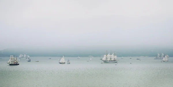 Mar negro barcos altos regata — Foto de Stock