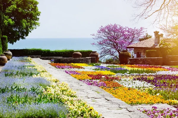 Bulgaristan, balçık Palace, Bahar çiçeği — Stok fotoğraf
