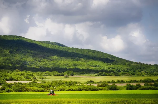 Nel villaggio. — Foto Stock